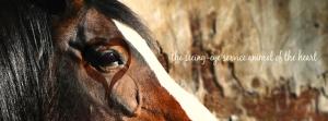 Art of Equus Blog